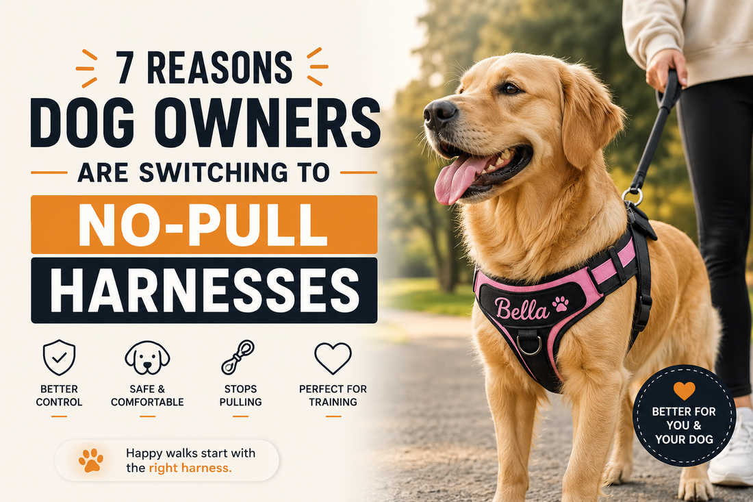 7 Reasons Dog Owners Are Switching to No-Pull Harnesses