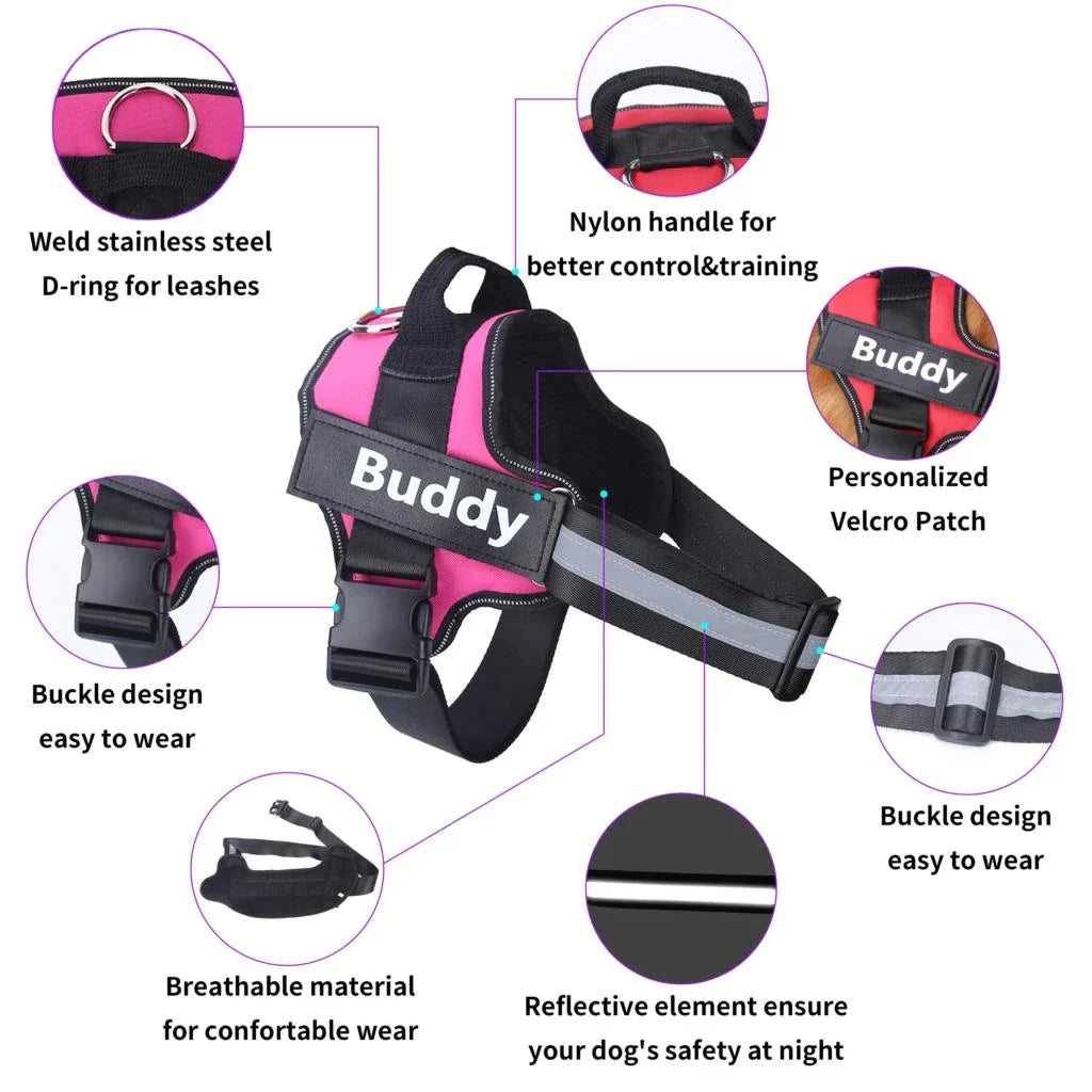 Personalized No Pull Dog Harness (FREE TODAY) - EasyDailyLife