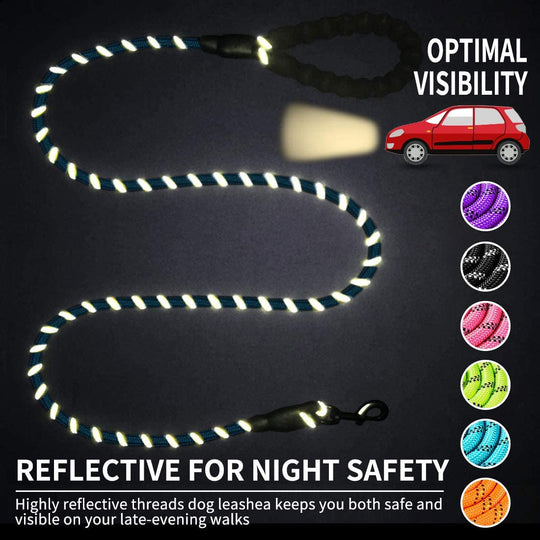 Premium Quality Nylon Reflective Leash (1.5 Meter) - MyDoggyNeeds