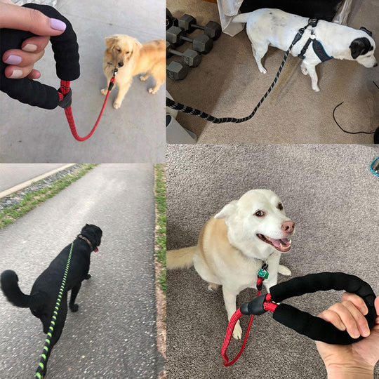 Premium Quality Nylon Reflective Leash (1.5 Meter) - MyDoggyNeeds
