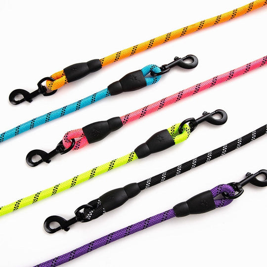 Premium Quality Nylon Reflective Leash (1.5 Meter) - MyDoggyNeeds