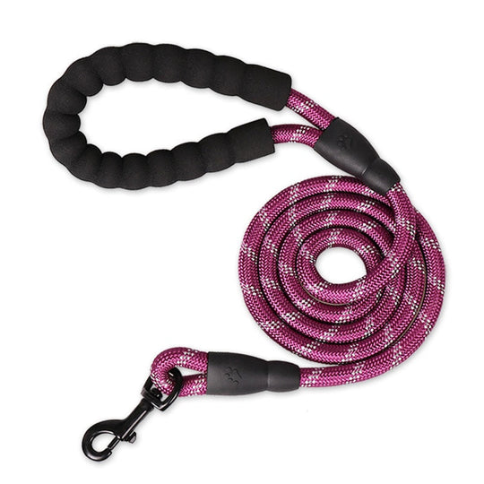 Premium Quality Nylon Reflective Leash (1.5 Meter) - MyDoggyNeeds