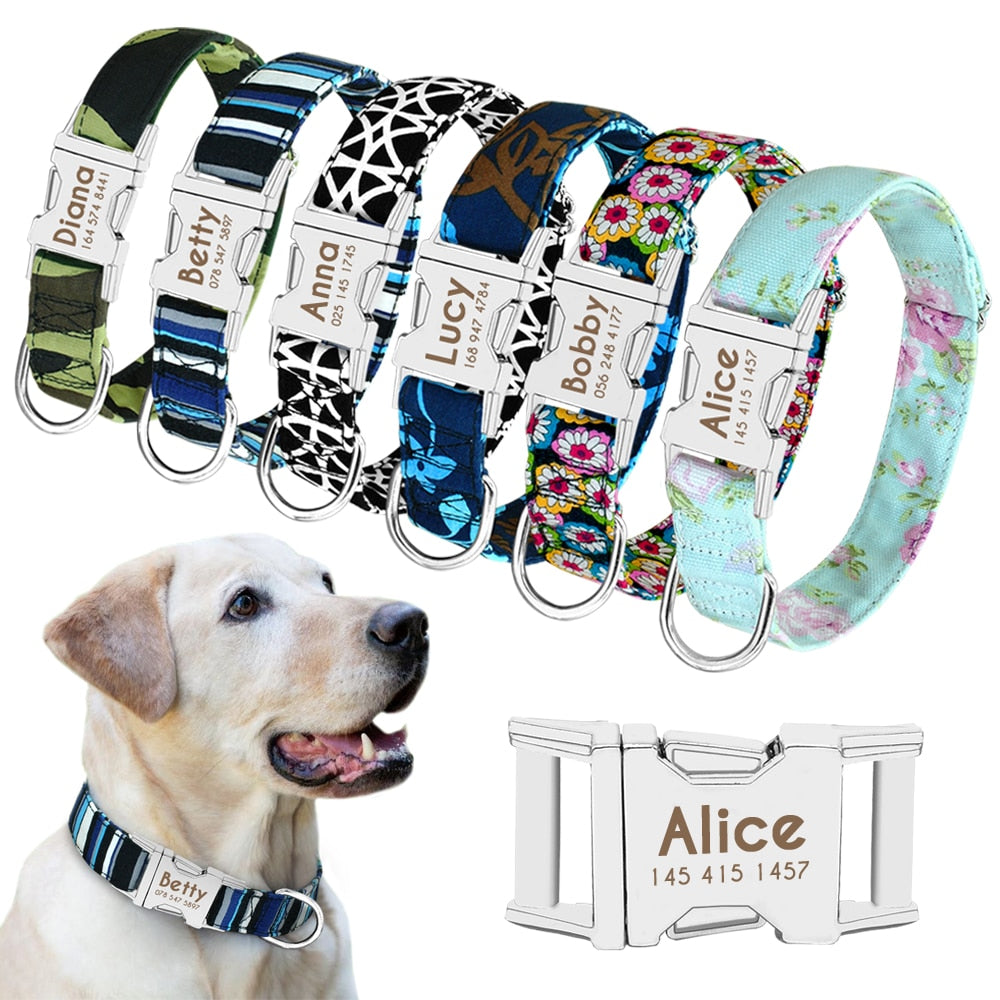 Dog Collar with Engraved ID 
