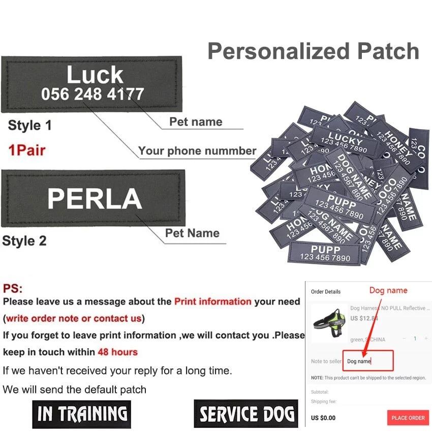 Personalized No Pull Dog Harness (FREE TODAY) - EasyDailyLife