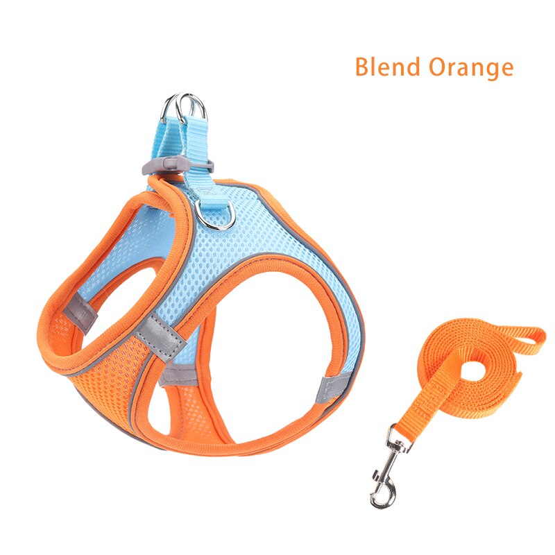 Reflective Dog Harness Leash Set - Blend Orange