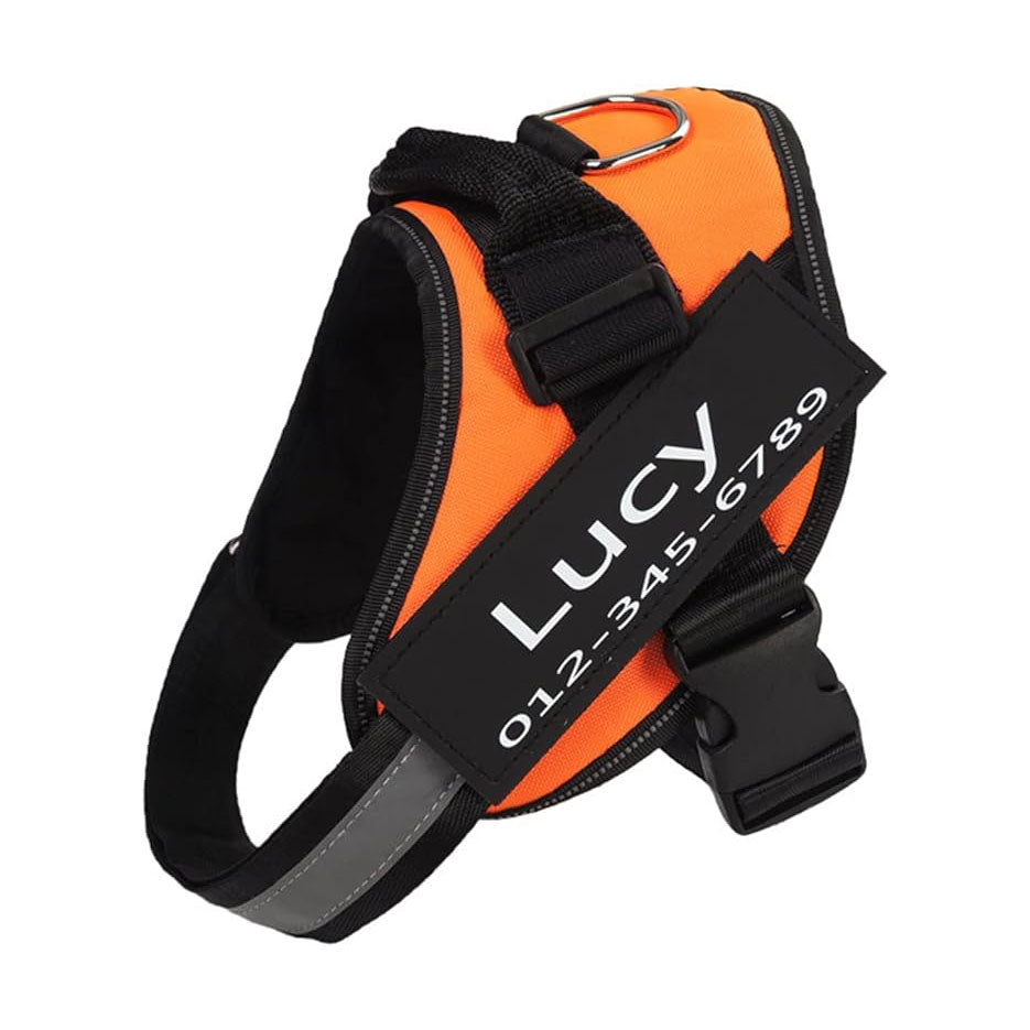 Personalized No Pull Dog Harness (FREE TODAY) - EasyDailyLife