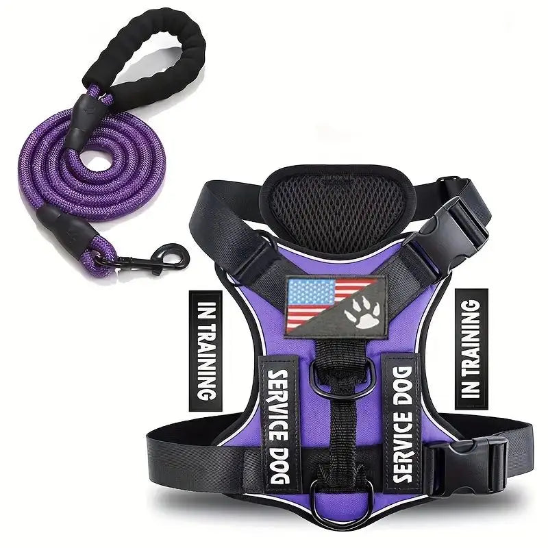 Escape-Proof No-Pull Dog Harness & Leash Set with Reflective Safety