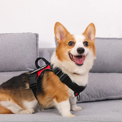 Escape-Proof No-Pull Dog Harness with Reflective Safety
