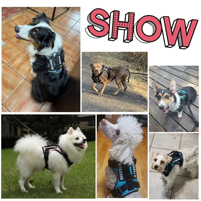 Escape-Proof No-Pull Dog Harness with Reflective Safety