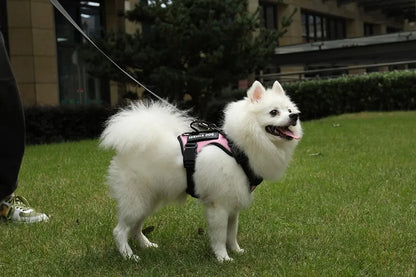 Escape-Proof No-Pull Dog Harness with Reflective Safety