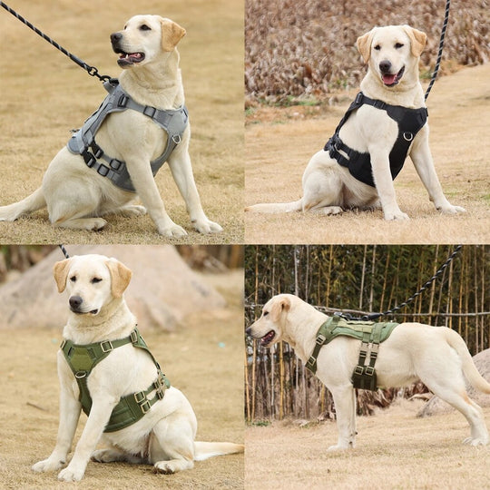 No Pull Military Dog Harness  For Labrador Golden Retriever 