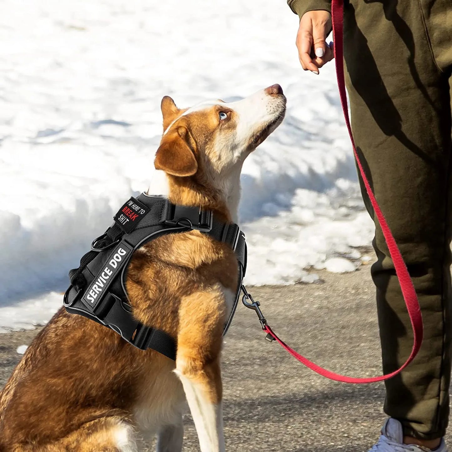Escape-Proof No-Pull Dog Harness with Reflective Safety