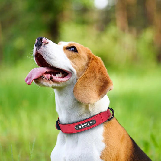 Personalized PU Leather Dog Collar