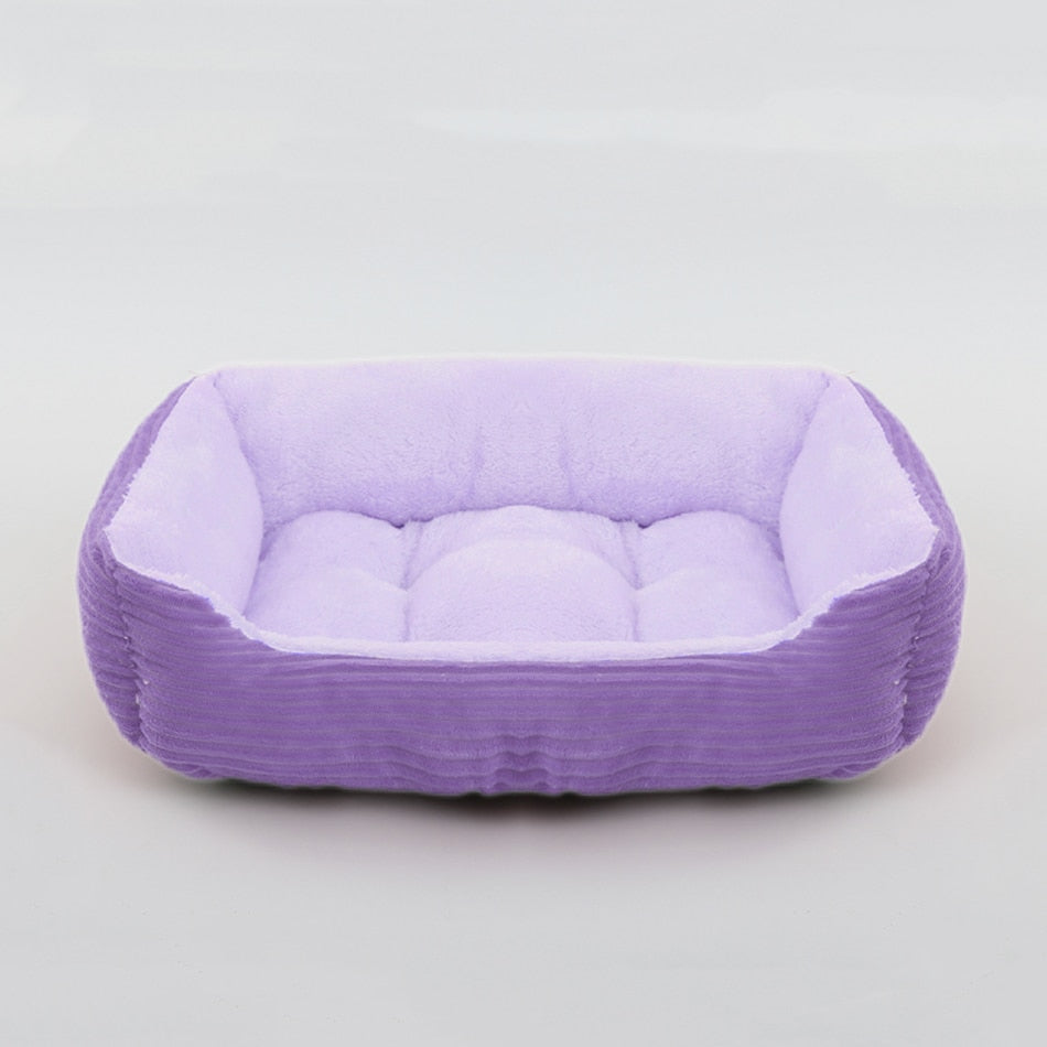 Bed for Dogs - Purple