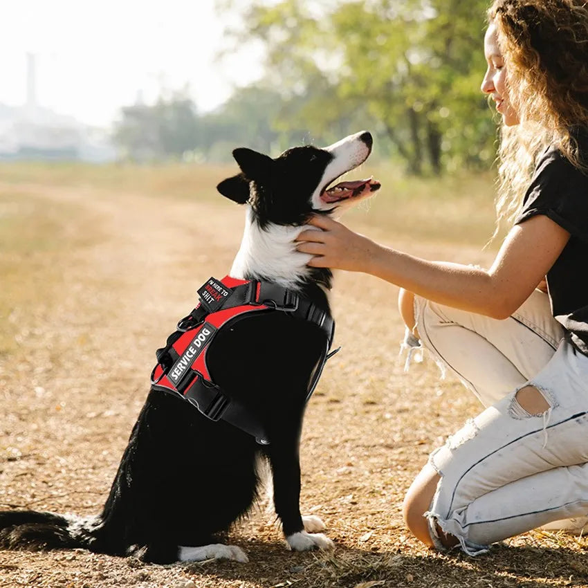 Escape-Proof No-Pull Dog Harness with Reflective Safety