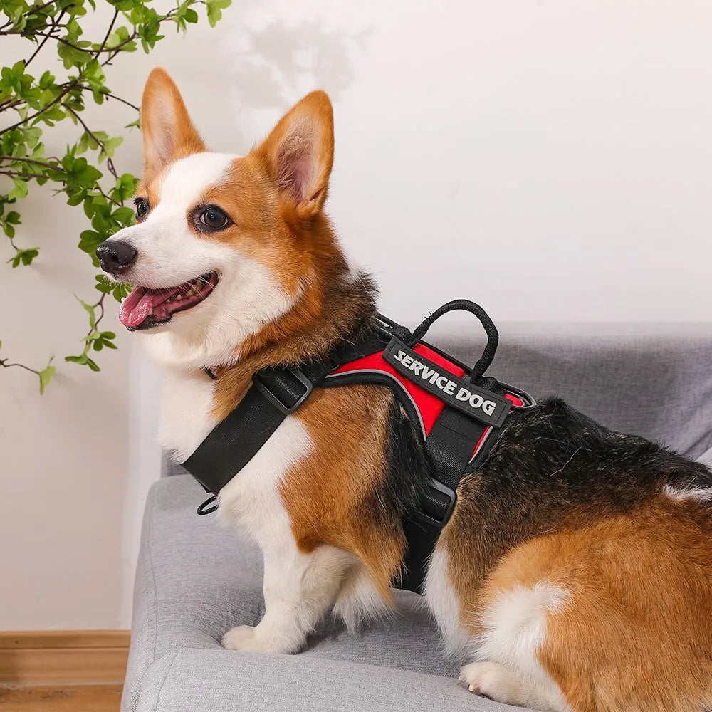 Escape-Proof No-Pull Dog Harness with Reflective Safety