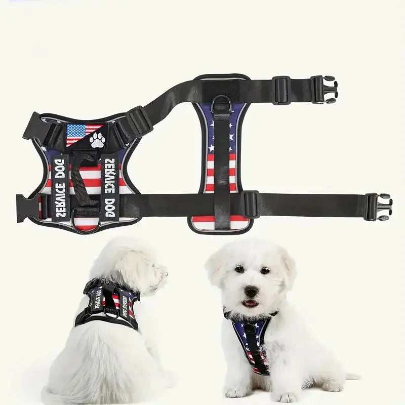 Escape-Proof No-Pull Dog Harness & Leash Set with Reflective Safety