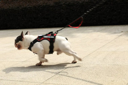 Escape-Proof No-Pull Dog Harness with Reflective Safety