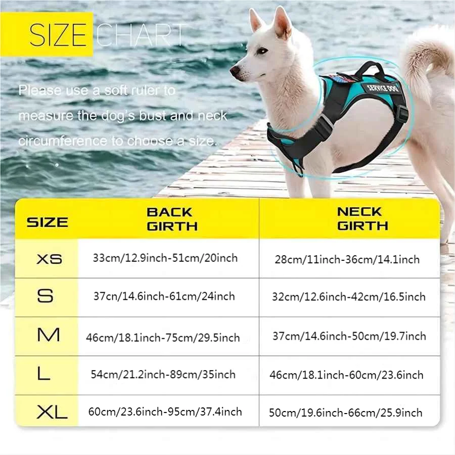 Escape-Proof No-Pull Dog Harness & Leash Set with Reflective Safety