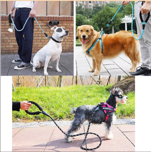 Premium Quality Nylon Reflective Leash (1.5 Meter) - MyDoggyNeeds