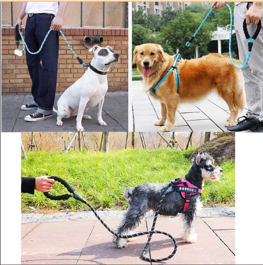 Premium Quality Nylon Reflective Leash (1.5 Meter) - MyDoggyNeeds