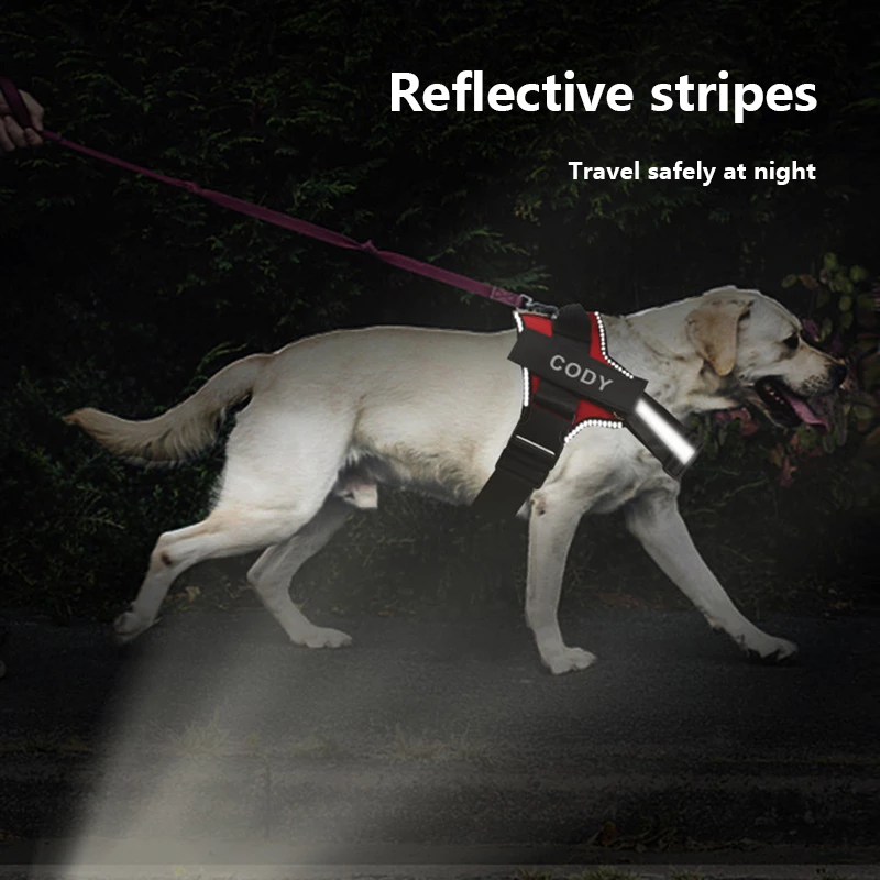 Dog wearing red reflective no-pull harness for safe night walking