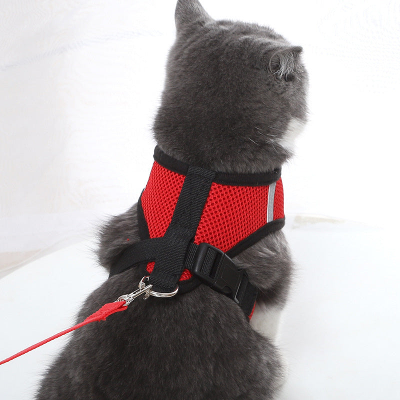 Small Dog and Cat Harness With Leash