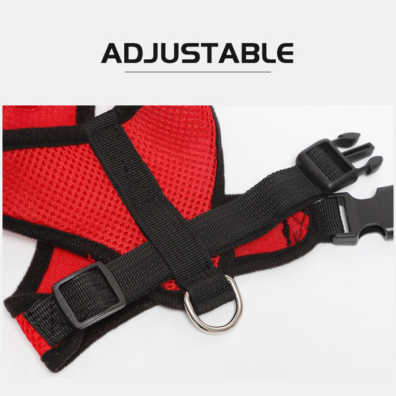 Small Dog and Cat Harness With Leash