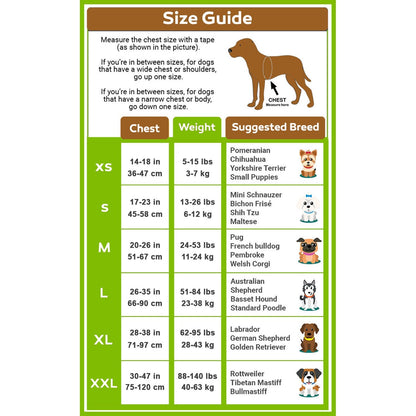 MyDoggyNeeds size guide showing how to measure dog chest and neck for perfect fit