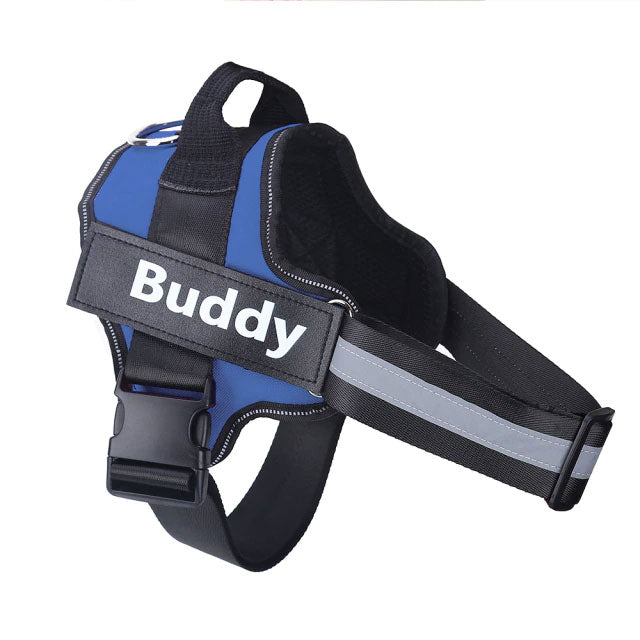 Personalized blue no-pull dog harness for comfortable walking and control