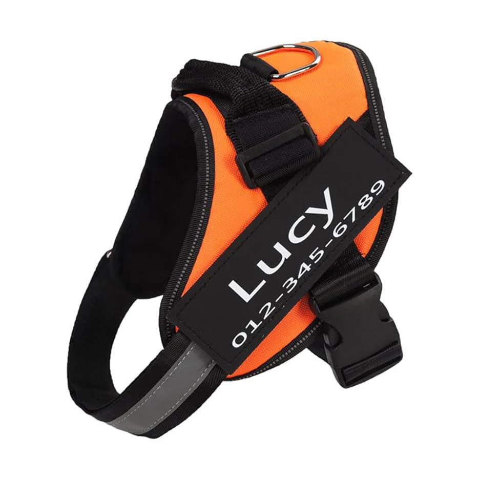 Personalized orange no-pull dog harness for comfortable walking and control