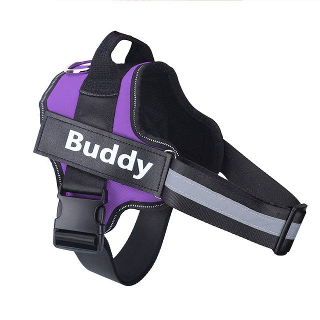 Personalized purple no-pull dog harness for comfortable walking and control