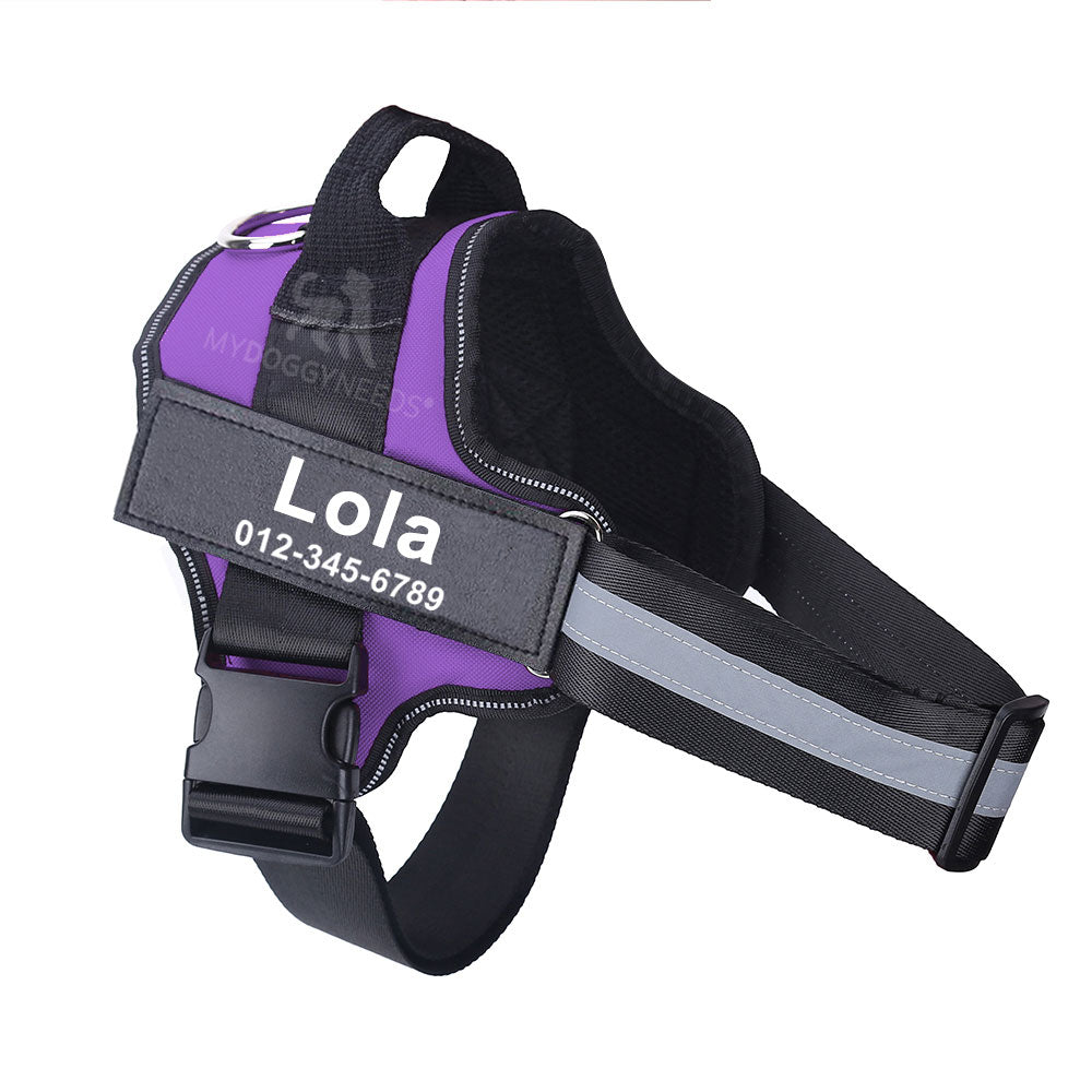 Personalized No Pull Dog Harness (FREE TODAY) - EasyDailyLife