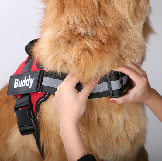 personalized-no-pull-dog-harness-red-adjustable-straps