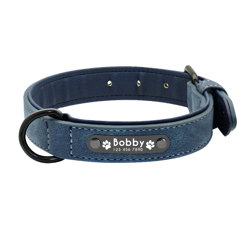 Personalized  Leather Dog Collar - Blue