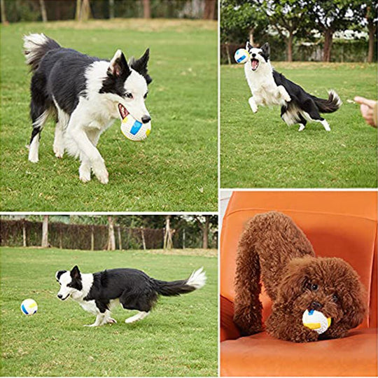 Dogs Stress Relief Ball