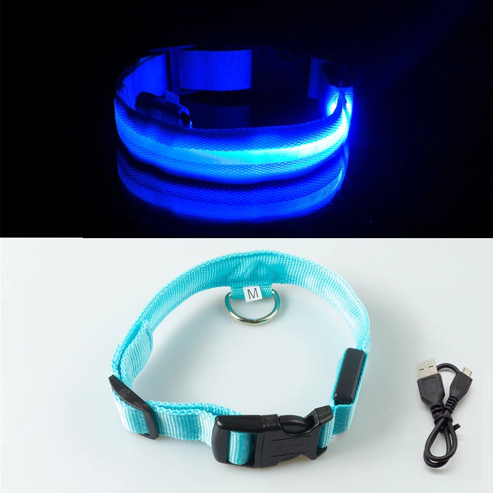 LED Light Dog Collar - Blue