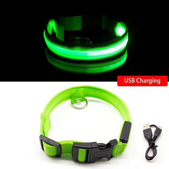 LED Light Dog Collar - Green