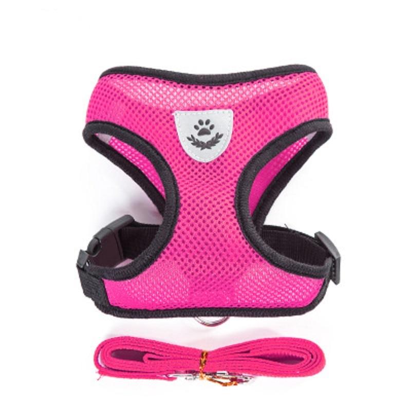 Small Dog and Cat Harness With Leash- Rose Red