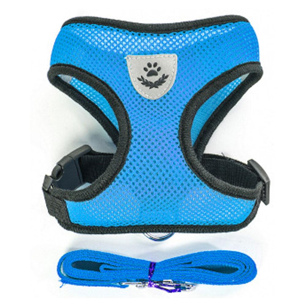 Small Dog and Cat Harness With Leash- Blue