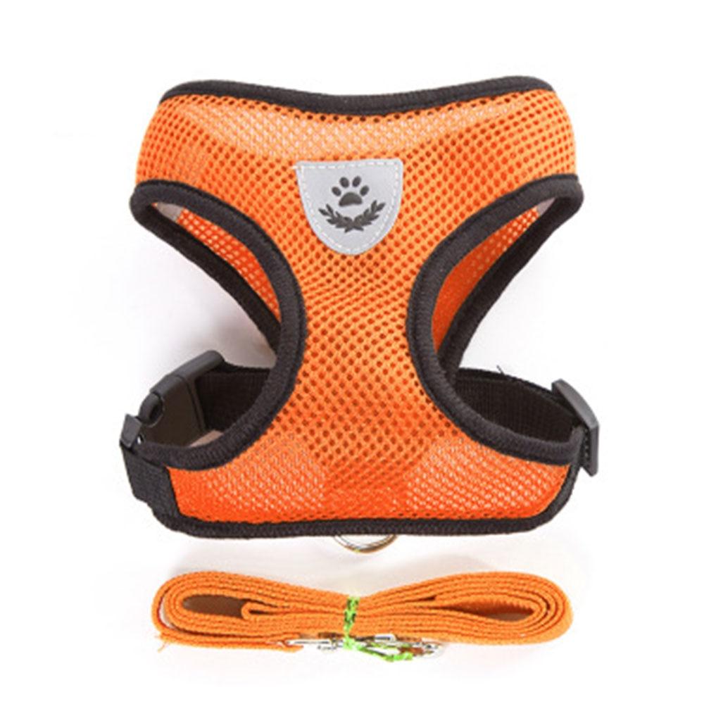 Small Dog and Cat Harness With Leash- Orange