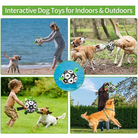 Dog Soccer Ball with Grab Tabs - Indoor & Outdoor activities
