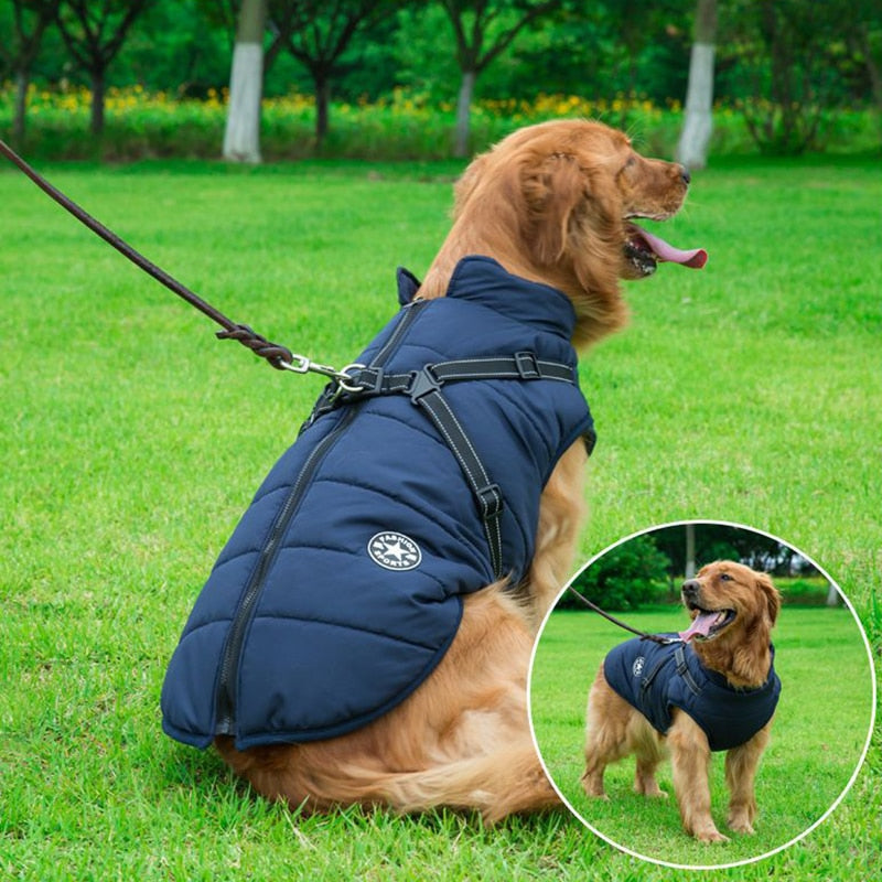 MyDoggyNeeds™ Winter Waterproof Dog Jacket - Navy Blue