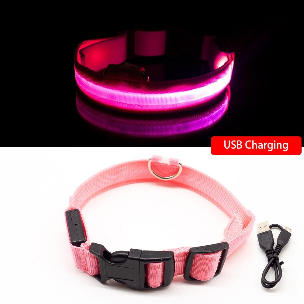 LED Light Dog Collar - Pink