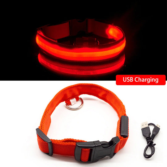 LED Light Dog Collar - Red