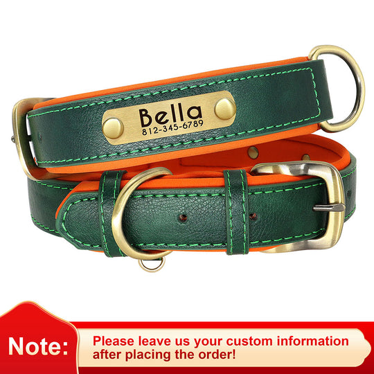 Leather Dog Collars with Engraved Nameplate - Green