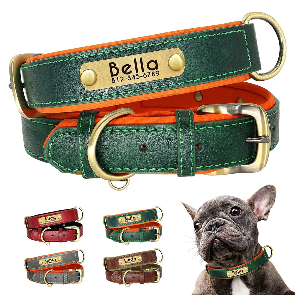 Leather Dog Collars with Engraved Nameplate  