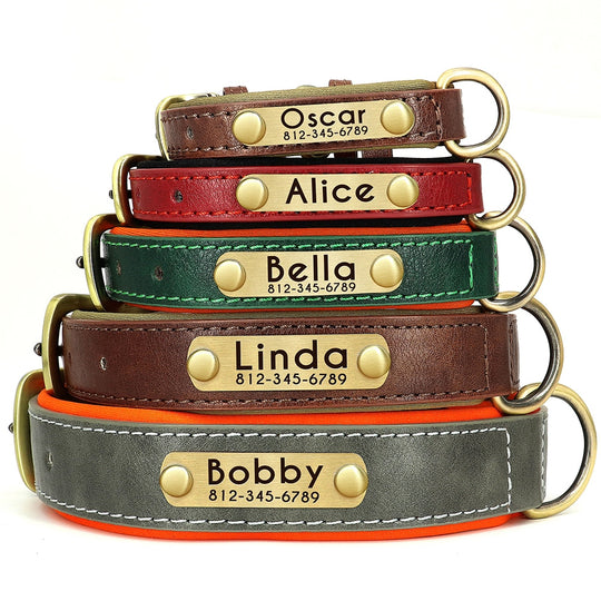 Leather Dog Collars with Engraved Nameplate  