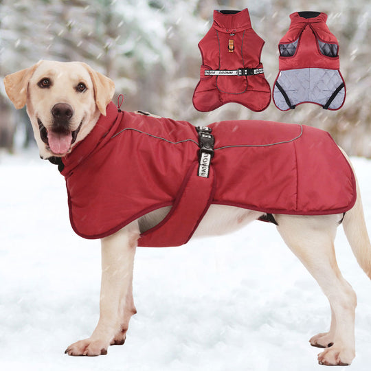 Winter Waterproof Pure Cotton Dog Jacket- Red