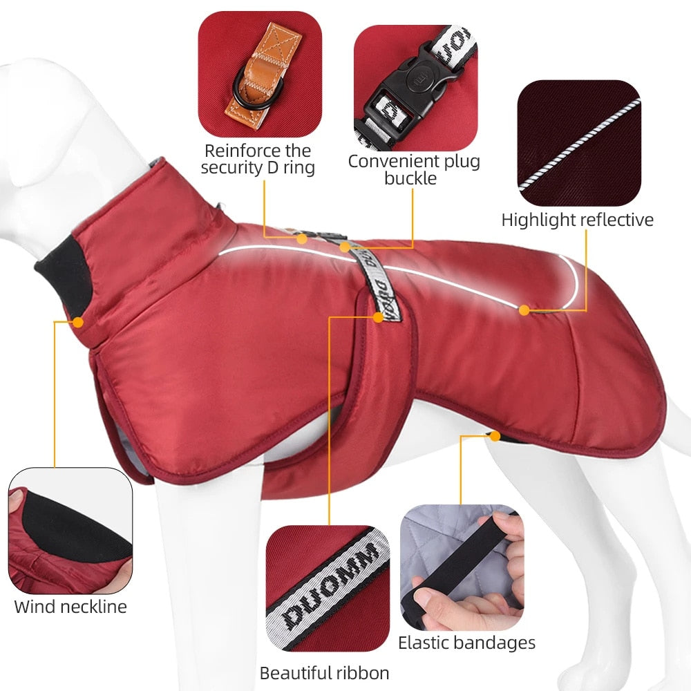 Winter Waterproof Pure Cotton Dog Jacket- Features